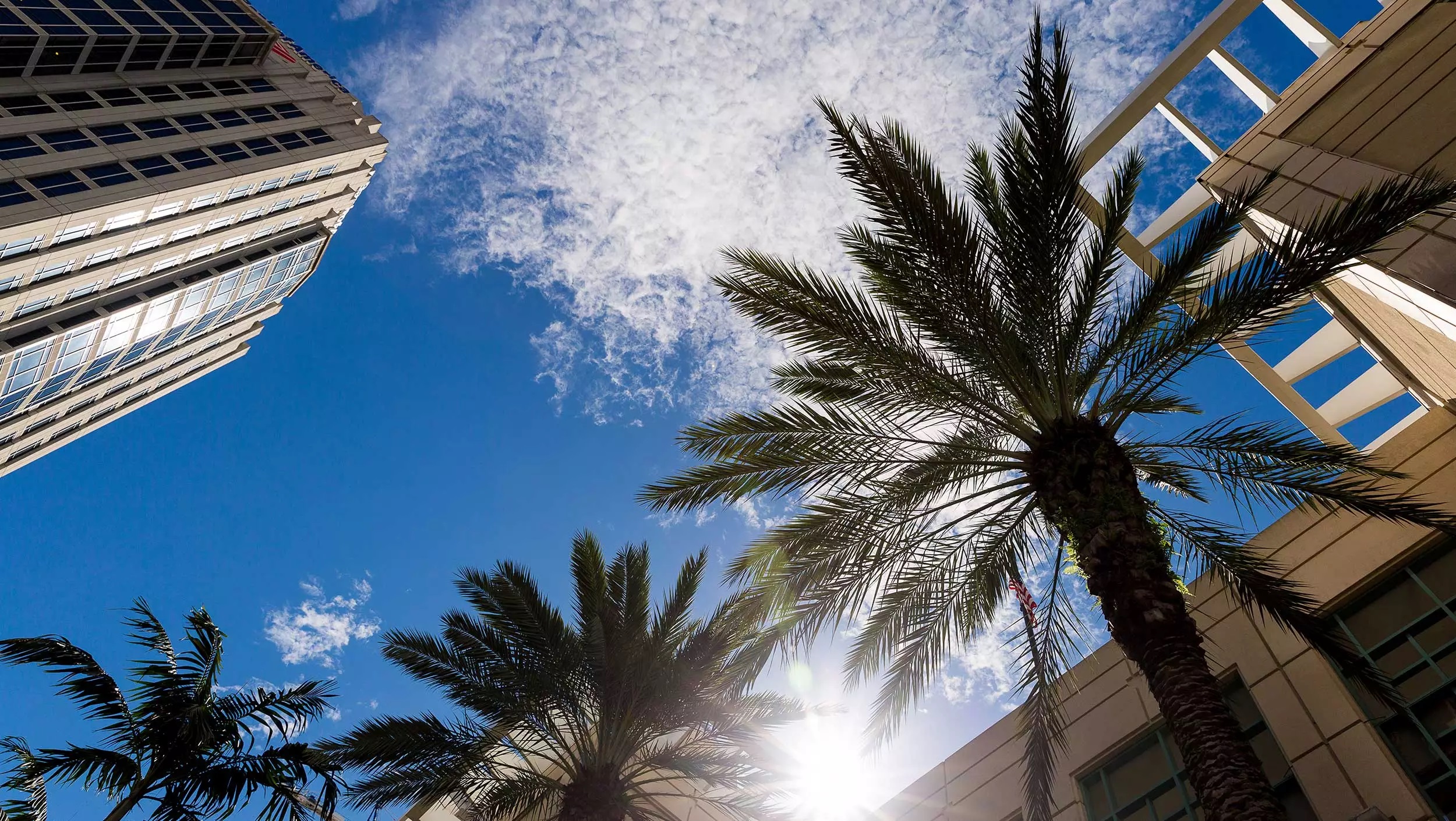 ADS Advance Enterprise Florida hosts Florida's first FDI virtual event